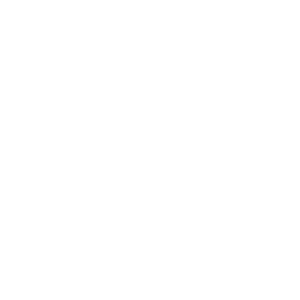 BWS