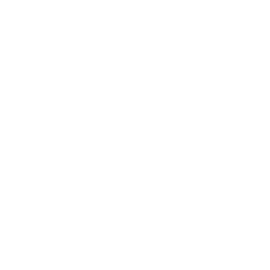 logo Scanjet