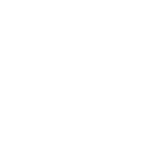 logo Verderflex