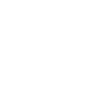 logo Wilden