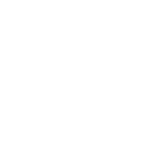 logo quattroflow
