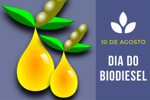 Entenda um pouco mais sobre o Biodiesel